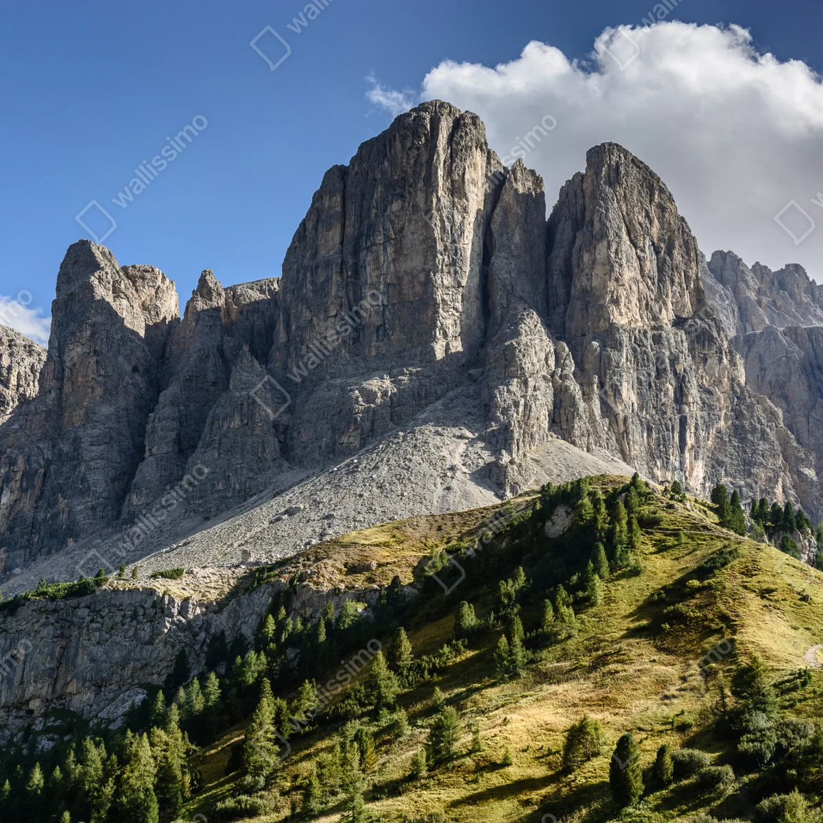 Fototapete majestätische gipfel über grünen hügeln Fototapete majestätische gipfel über grünen hügeln