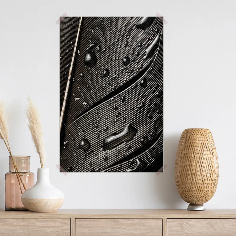 Poster monochrome feder mit wassertropfen Poster monochrome feder mit wassertropfen