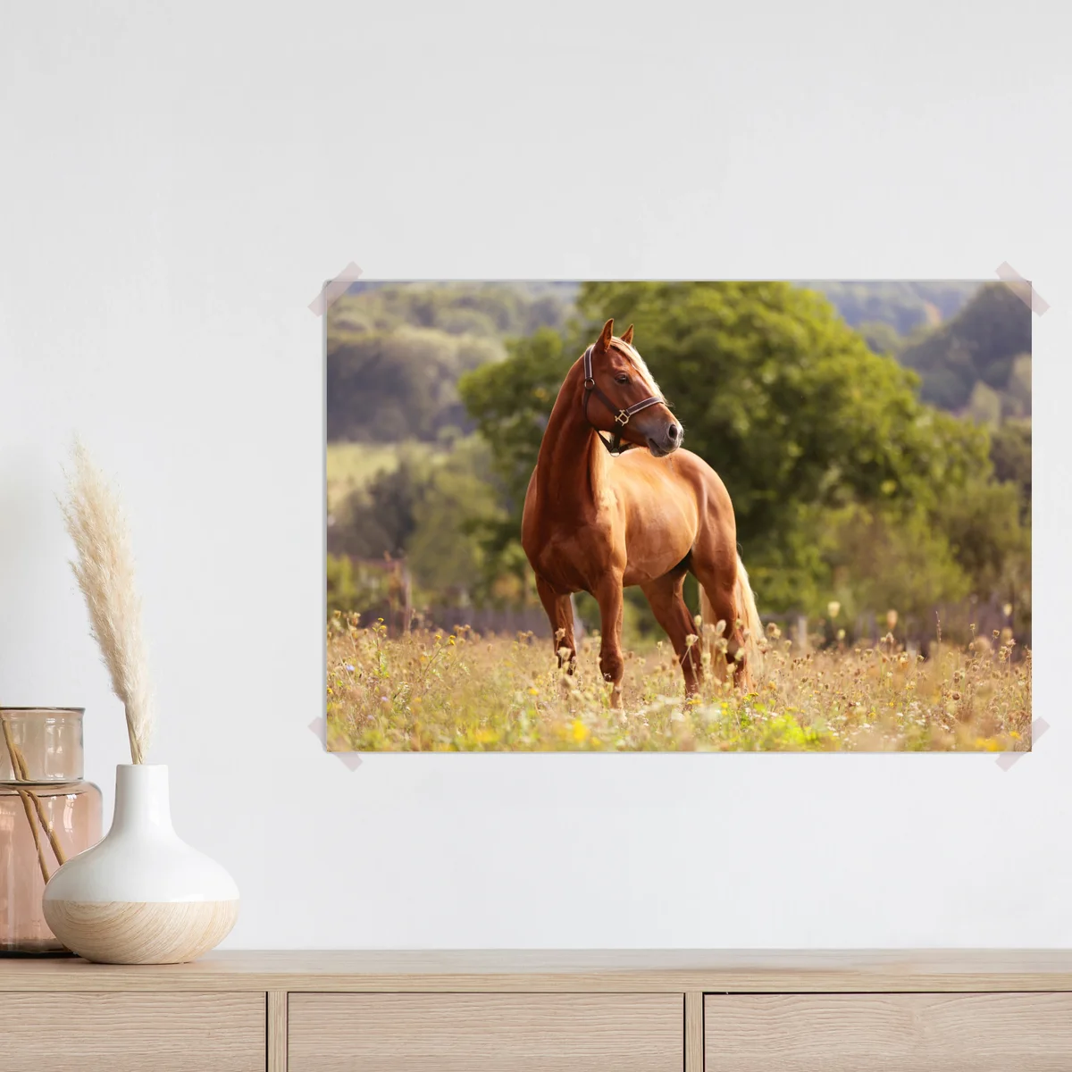 Poster majestätisches kastanienbraunes pferd auf sommerlicher wiese Poster majestätisches kastanienbraunes pferd auf sommerlicher wiese