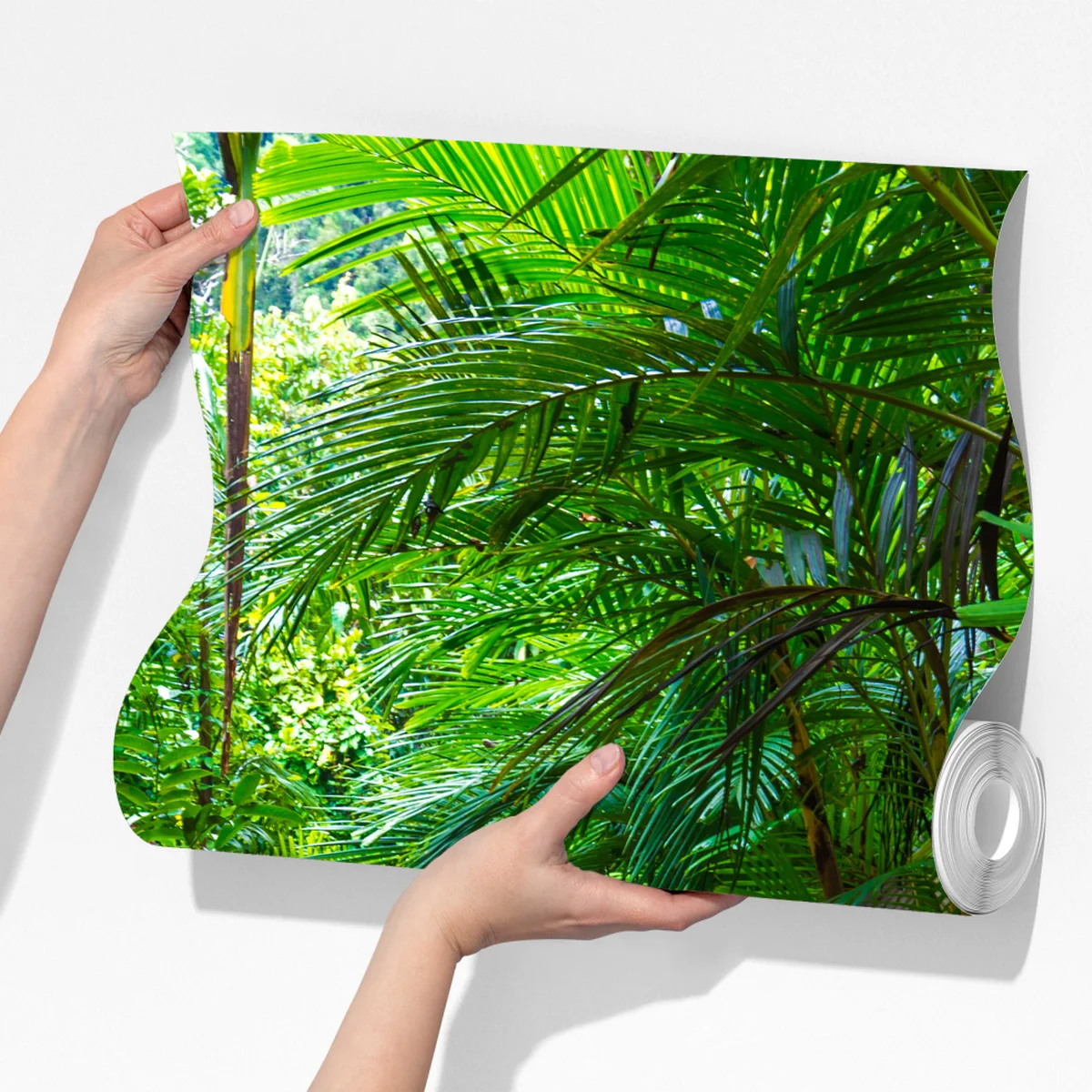 Fototapete mangrovensteg durch üppigen grünen dschungel Fototapete mangrovensteg durch üppigen grünen dschungel