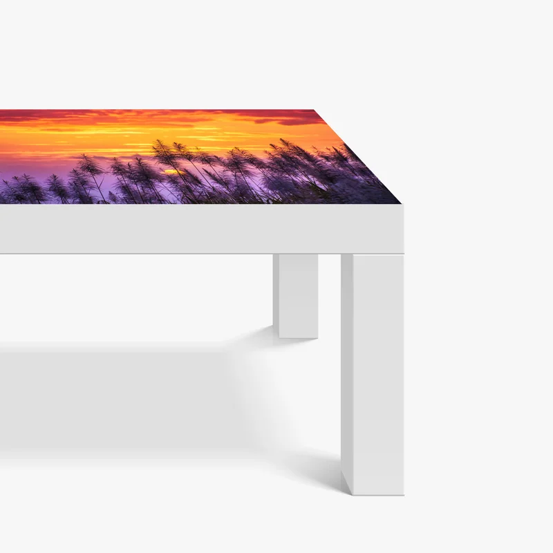 Tischaufkleber und Schreibtischaufkleber goldener sonnenuntergang über wildgräsern Tischaufkleber und Schreibtischaufkleber goldener sonnenuntergang über wildgräsern