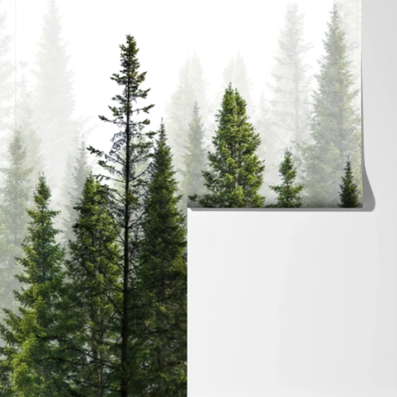 Fototapete nebliger tannenwald Fototapete nebliger tannenwald