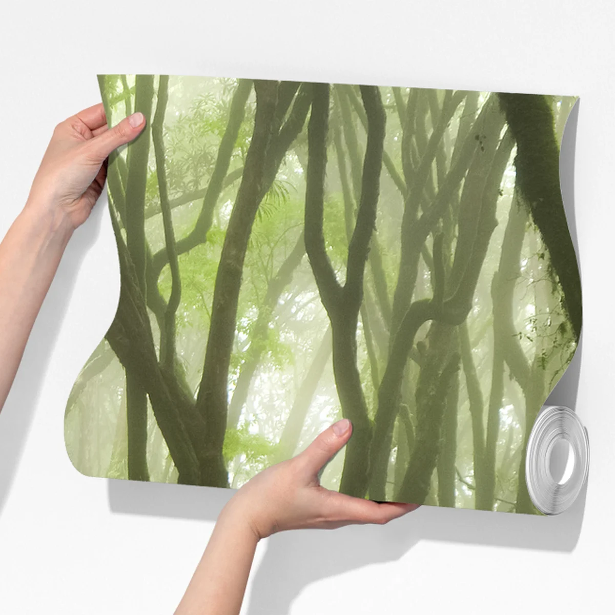 Fototapeta mglisty zielony leśny szlak Fototapeta mglisty zielony leśny szlak