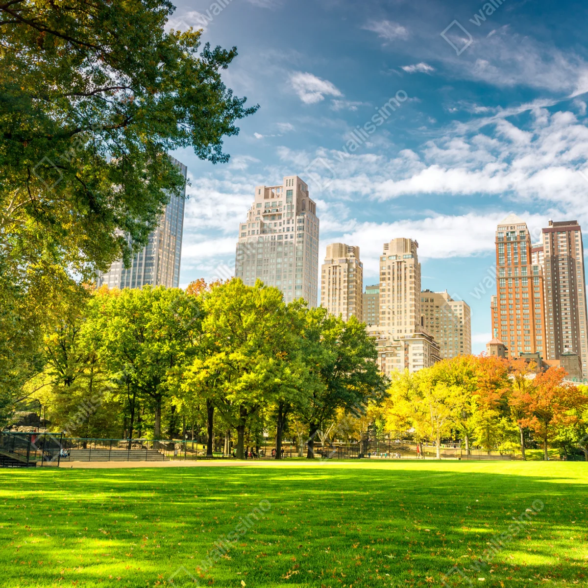 Naklejka na laptopa Central Park jesienna panorama Naklejka na laptopa Central Park jesienna panorama