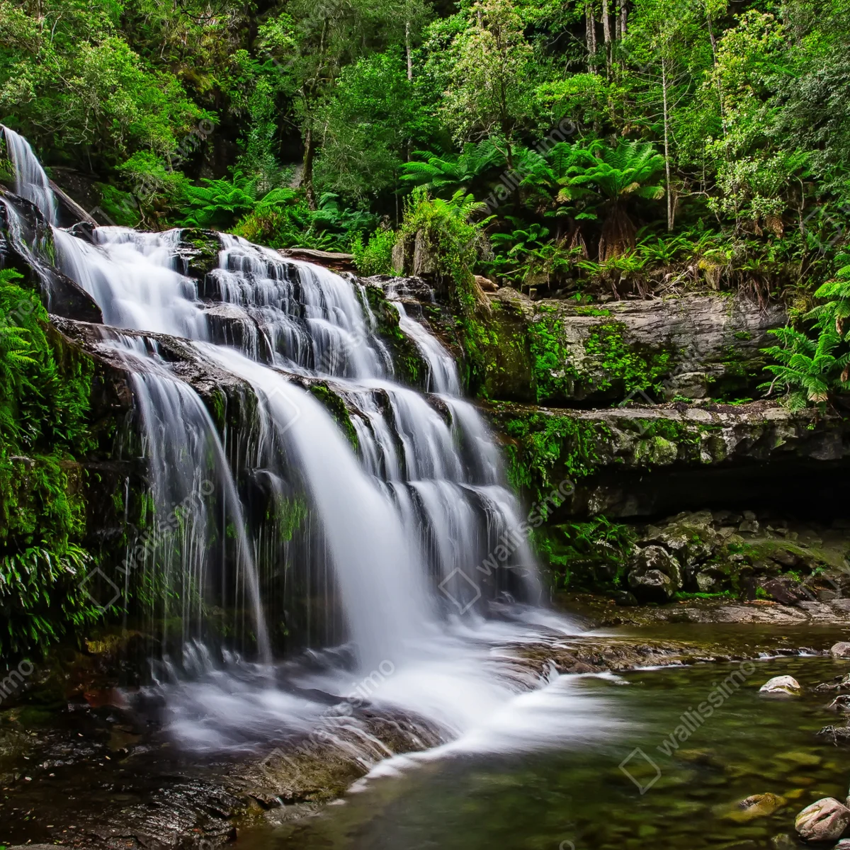 Poster wasserfall Liffey Falls im üppigen Regenwald von Tasmanien Poster wasserfall Liffey Falls im üppigen Regenwald von Tasmanien