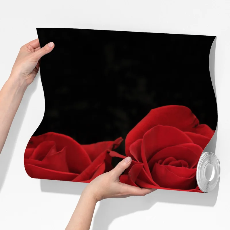 Fototapete rote rosen vor schwarzem hintergrund Fototapete rote rosen vor schwarzem hintergrund