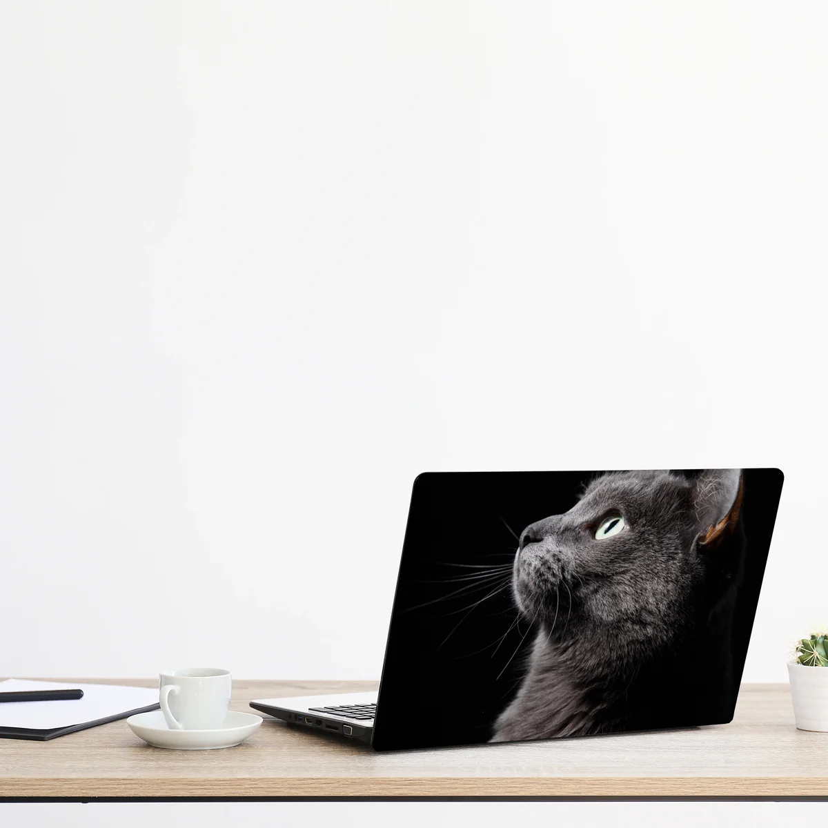 Naklejka na laptopa elegancki portret szarego kota Naklejka na laptopa elegancki portret szarego kota