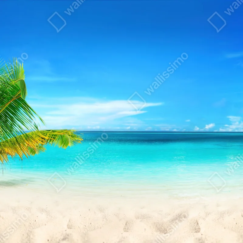 Fototapeta Malediwy turkusowa plaża panorama Fototapeta Malediwy turkusowa plaża panorama