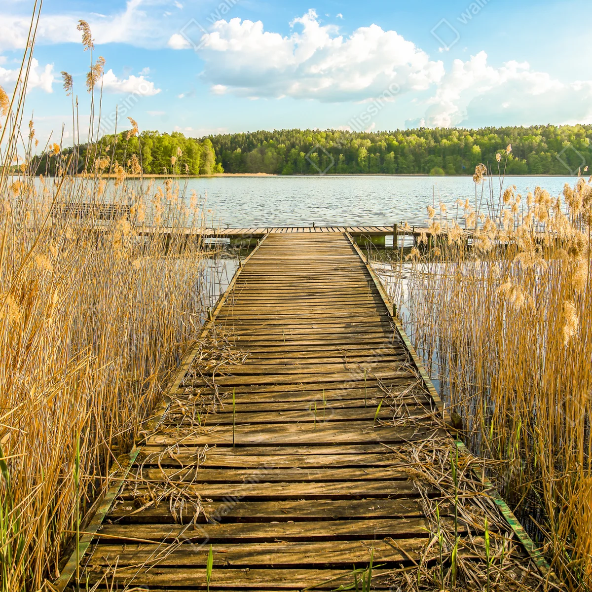 Leinwandbild hölzerner steg zum ruhigen see Leinwandbild hölzerner steg zum ruhigen see