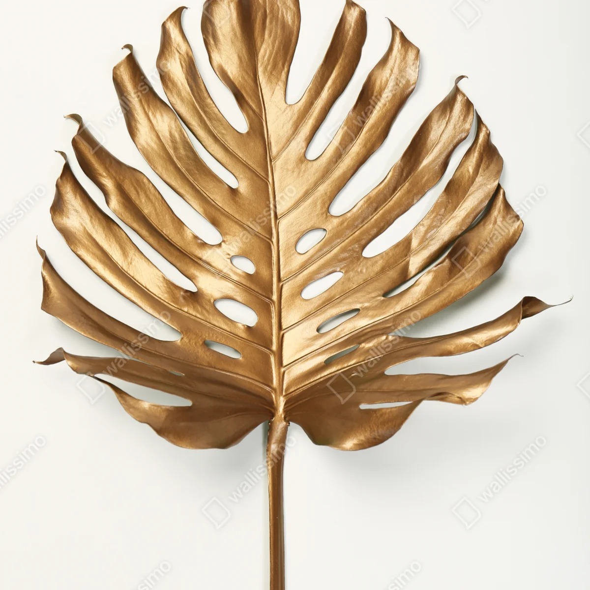 Repositionierbarer Aufkleber goldenes monstera blatt auf weißem hintergrund Repositionierbarer Aufkleber goldenes monstera blatt auf weißem hintergrund