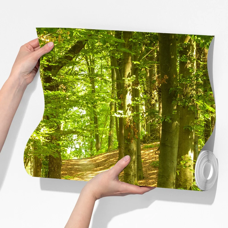 Fototapeta słoneczna leśna ścieżka Fototapeta słoneczna leśna ścieżka