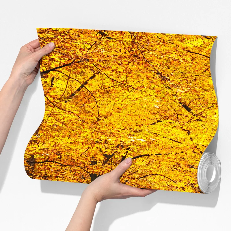 Fototapeta złota ścieżka w jesiennym lesie Fototapeta złota ścieżka w jesiennym lesie