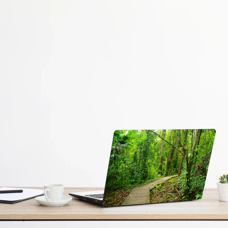 Naklejka na laptopa tropikalna kładka w bujnym lesie