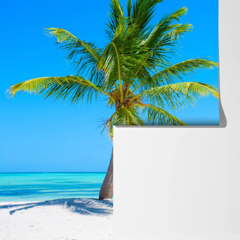 Fototapete tropische palme am weißen sandstrand Fototapete tropische palme am weißen sandstrand