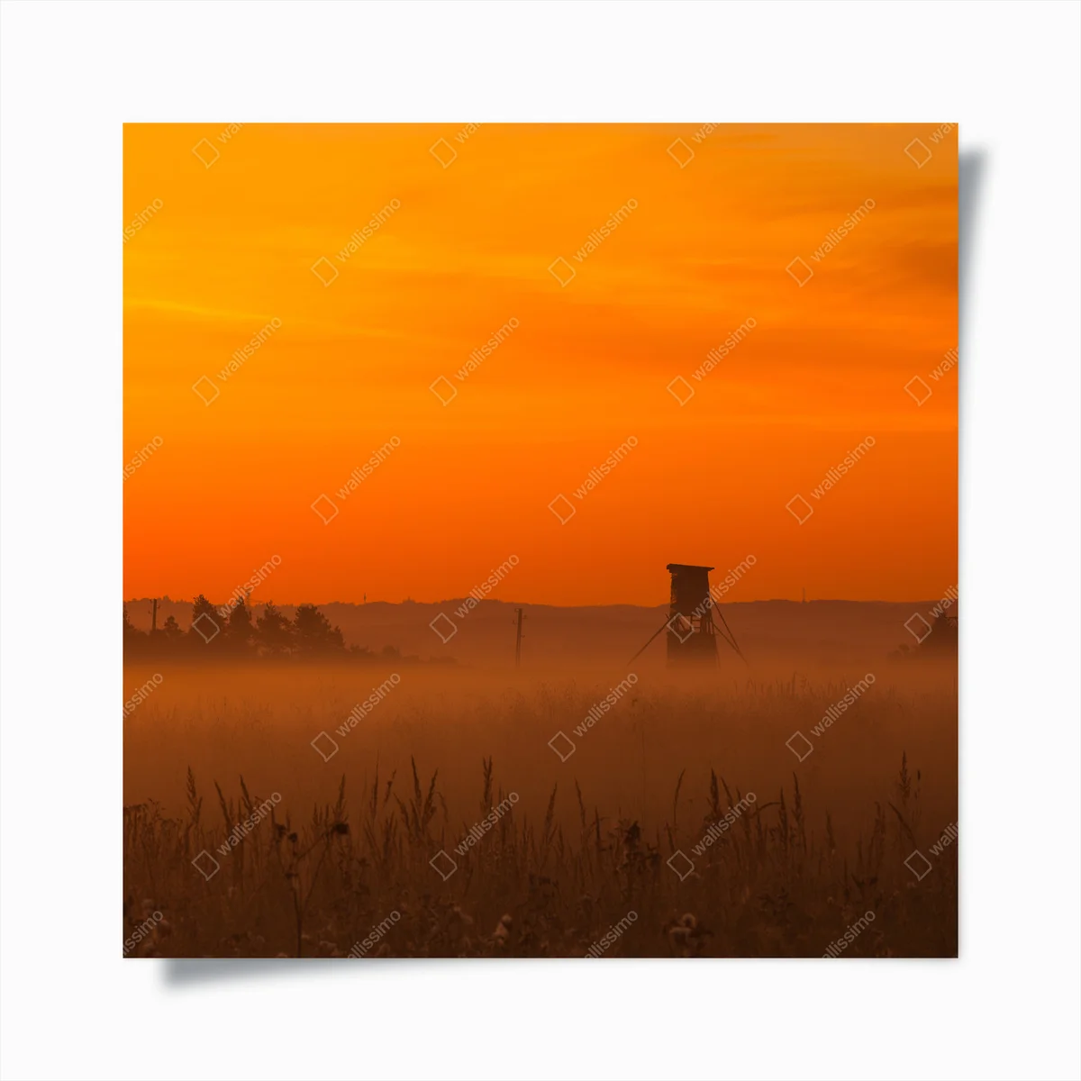 Poster Typische Jäger turmen auf der Wiese • Poster bei Wallnifity® Poster Typische Jäger turmen auf der Wiese • Poster bei Wallnifity®