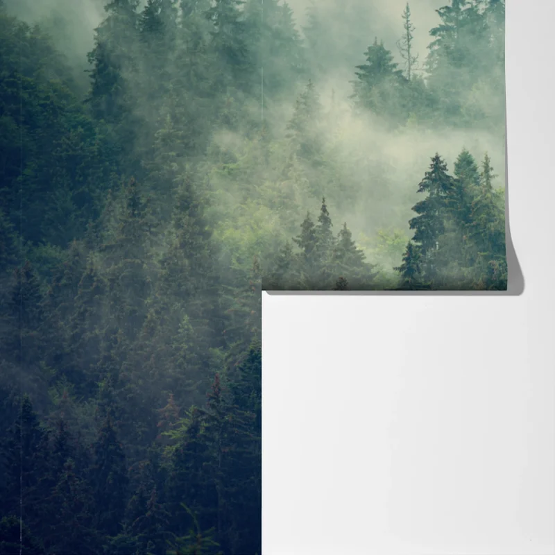 Fototapeta mglisty wieczniezielony las Fototapeta mglisty wieczniezielony las