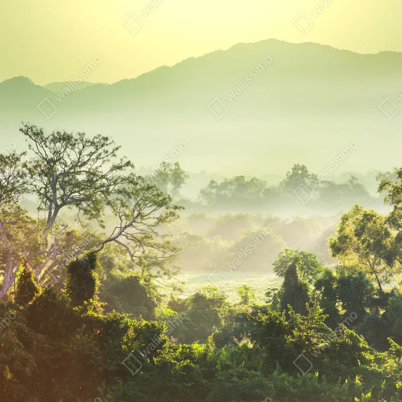 Repositionierbarer Aufkleber nebliger dschungel in Vietnam bei sonnenaufgang Repositionierbarer Aufkleber nebliger dschungel in Vietnam bei sonnenaufgang