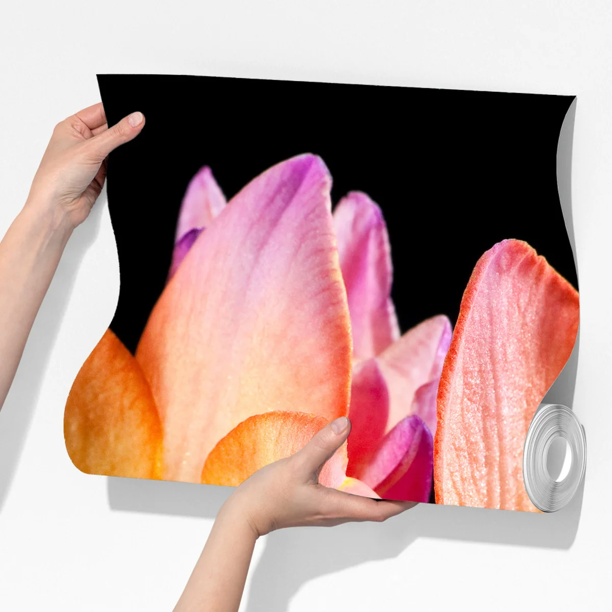 Fototapeta żywe pomarańczowe frezje na czarnym tle Fototapeta żywe pomarańczowe frezje na czarnym tle