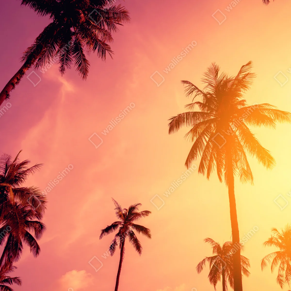 Repositionierbarer Aufkleber tropischer sonnenuntergang mit palmen Repositionierbarer Aufkleber tropischer sonnenuntergang mit palmen