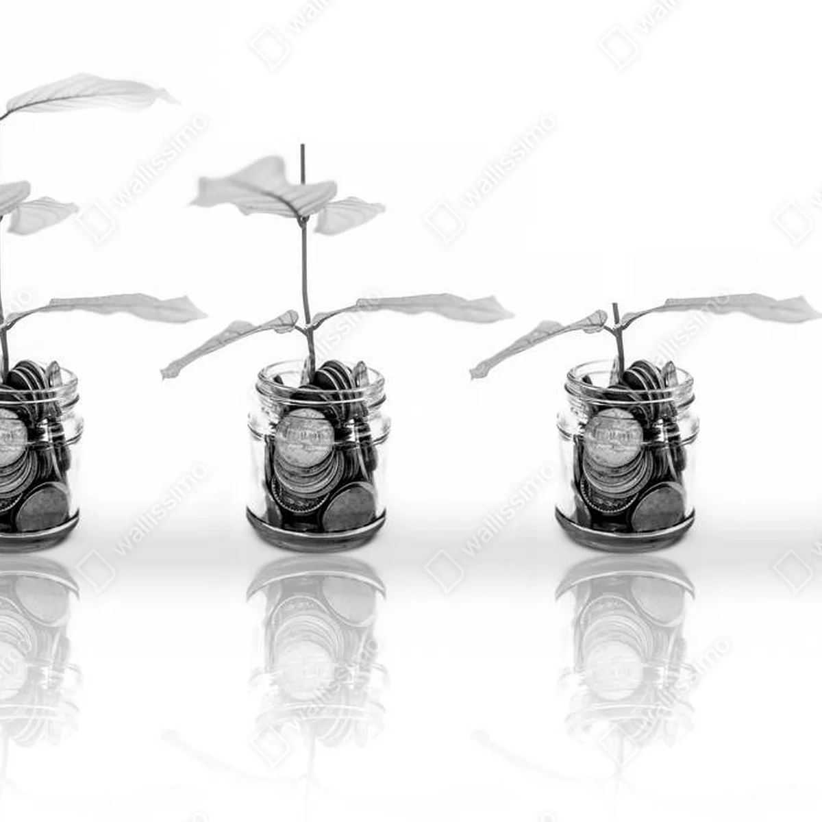 Leinwandbild ein Glas voller Münzen und Pflanzen, die durch ihn hindurch wachsen. Konzept • Leinwandbilder bei Wallnifity® Leinwandbild ein Glas voller Münzen und Pflanzen, die durch ihn hindurch wachsen. Konzept • Leinwandbilder bei Wallnifity®