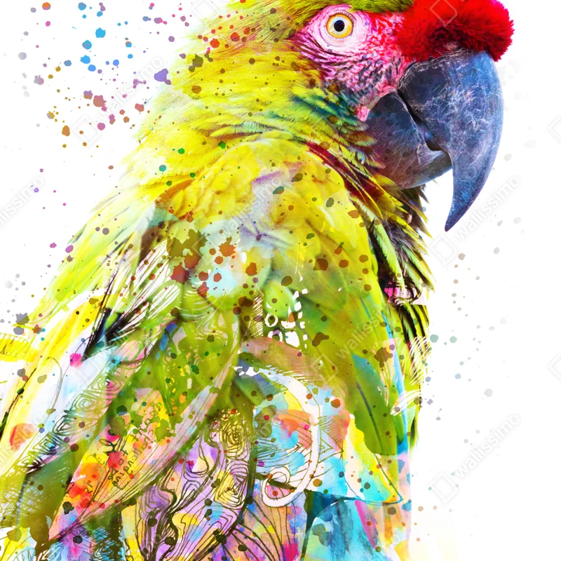 Repositionierbarer Aufkleber lebhaftes aquarell-porträt eines papageis Repositionierbarer Aufkleber lebhaftes aquarell-porträt eines papageis