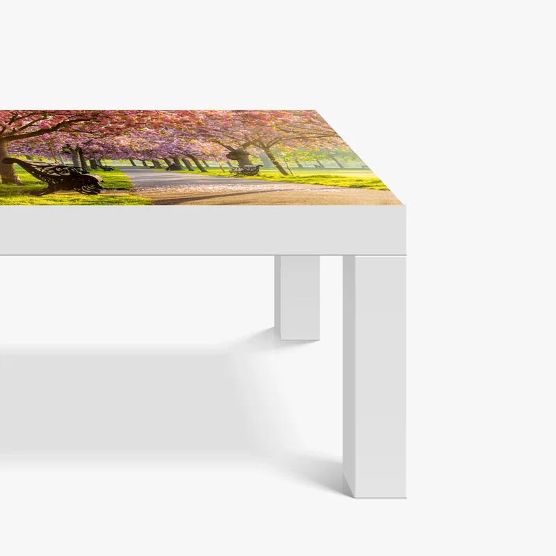 Tischaufkleber und Schreibtischaufkleber kirschblütenallee im frühling