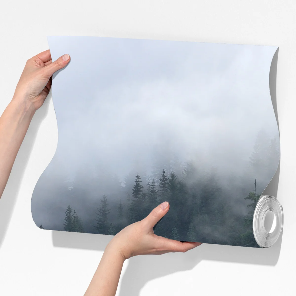 Fototapete nebliger wald vom Larch Mount, Oregon Fototapete nebliger wald vom Larch Mount, Oregon