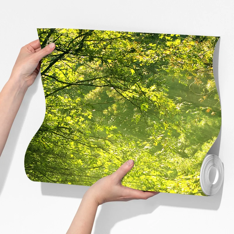 Fototapete sonnenbeschienener waldpfad im grünen Fototapete sonnenbeschienener waldpfad im grünen