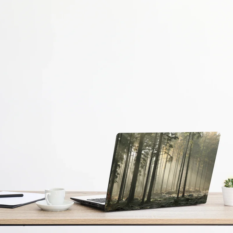 Laptop-Aufkleber nebliger morgenwald mit sonnenstrahlen
