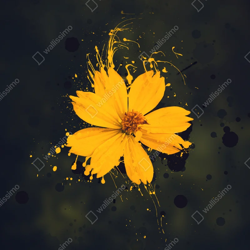 Leinwandbild leuchtende gelbe blüte auf dunklem hintergrund Leinwandbild leuchtende gelbe blüte auf dunklem hintergrund