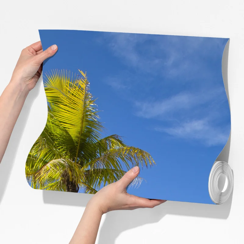 Fototapeta tropikalna turkusowa plaża z pochyloną palmą Fototapeta tropikalna turkusowa plaża z pochyloną palmą