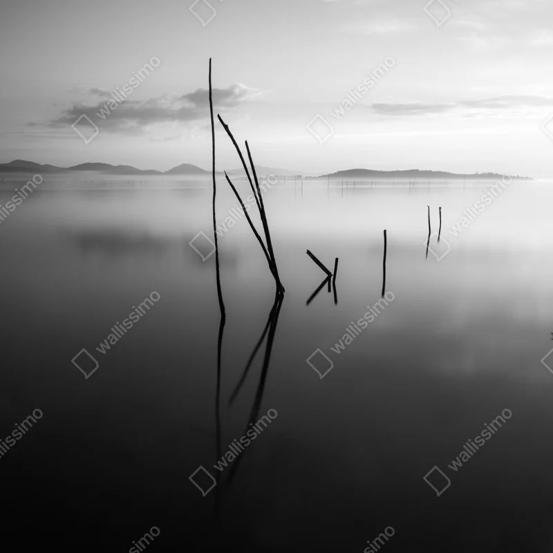 Naklejka na okno spokojne monochromatyczne jezioro z odbiciami Naklejka na okno spokojne monochromatyczne jezioro z odbiciami