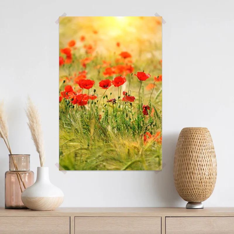 Poster rote mohnwiese im sonnenlicht Poster rote mohnwiese im sonnenlicht