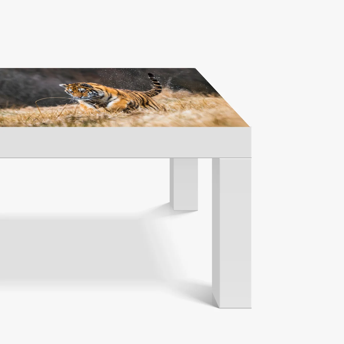 Tischaufkleber und Schreibtischaufkleber sibirischer tiger in bewegung Tischaufkleber und Schreibtischaufkleber sibirischer tiger in bewegung