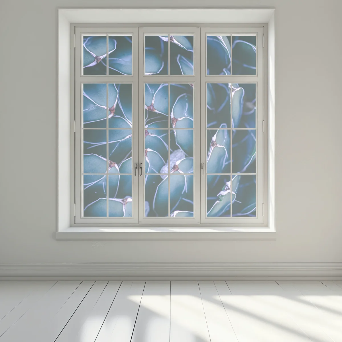 Fensteraufkleber geometrische makroaufnahme türkiser sukkulente Fensteraufkleber geometrische makroaufnahme türkiser sukkulente