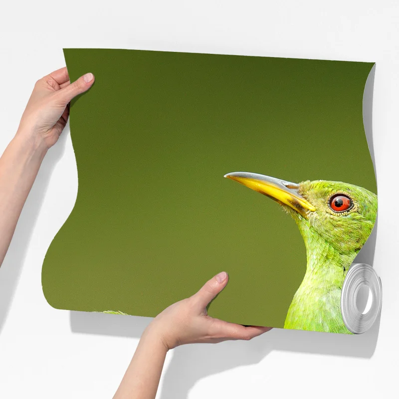 Fototapete lebendige grüne honigfresser auf moos Fototapete lebendige grüne honigfresser auf moos