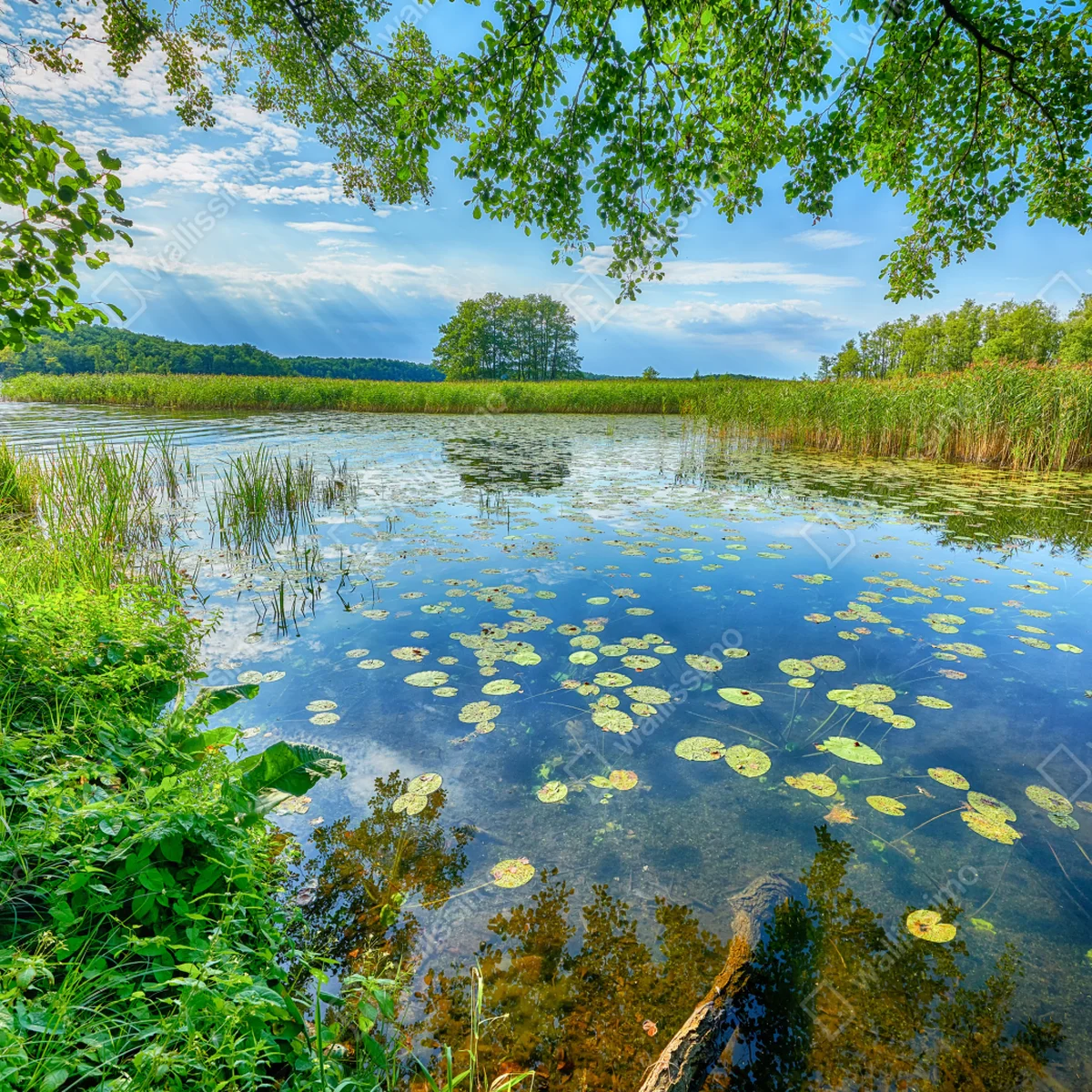 Repositionierbarer Aufkleber sommer am Masurensee Repositionierbarer Aufkleber sommer am Masurensee