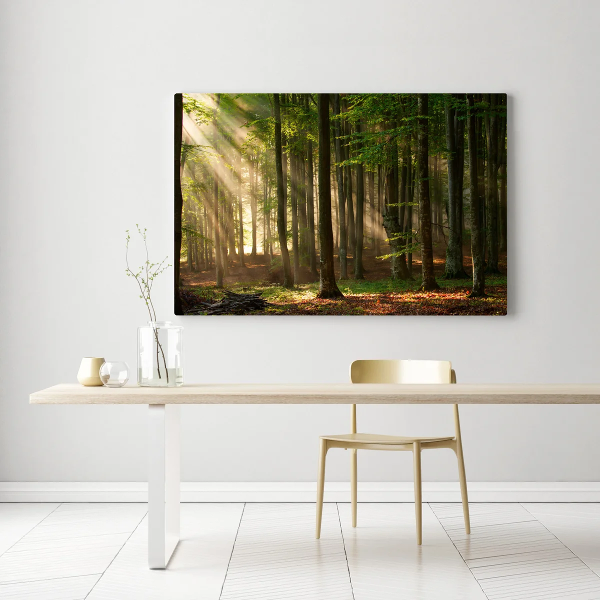 Leinwandbild morgendliches licht im buchenwald Leinwandbild morgendliches licht im buchenwald