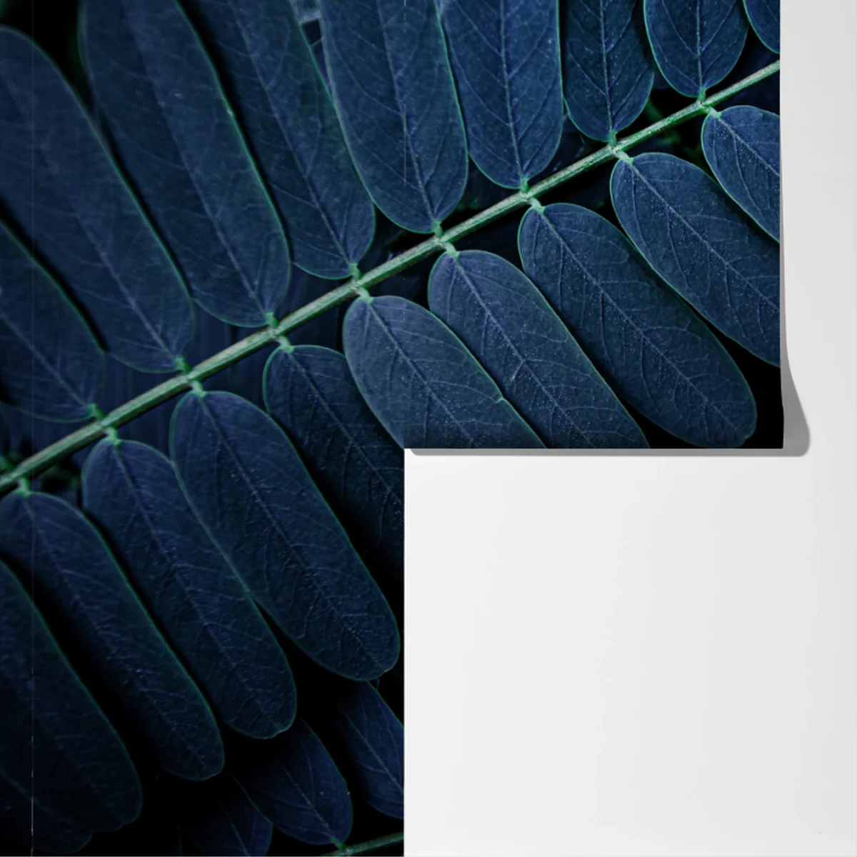 Fototapete tiefblaues blattmuster Fototapete tiefblaues blattmuster
