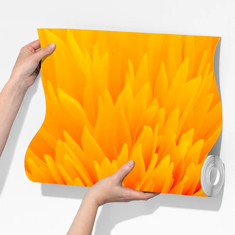 Fototapete strahlende sonnenblume nahaufnahme Fototapete strahlende sonnenblume nahaufnahme