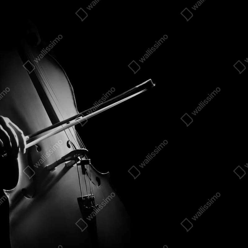 Laptop-Aufkleber elegantes cello in monochrom Laptop-Aufkleber elegantes cello in monochrom