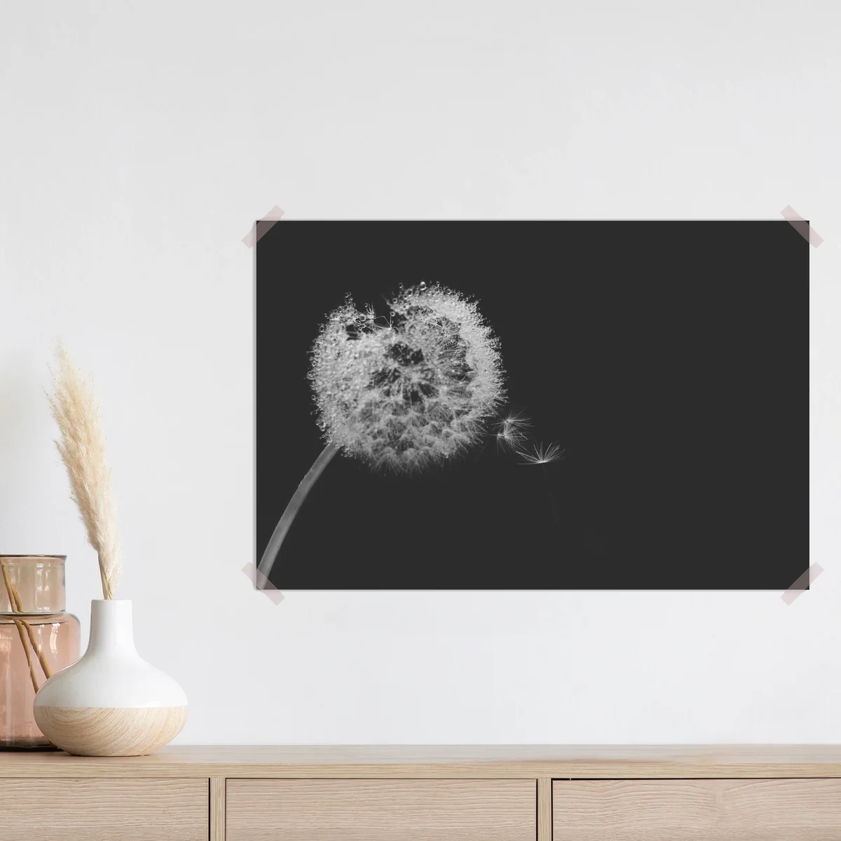 Poster zarter löwenzahn in monochrom Poster zarter löwenzahn in monochrom