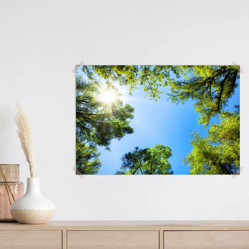 Poster Baumwipfel umrahmen den sonnigen blauen Himmel • Poster bei Wallnifity® Poster Baumwipfel umrahmen den sonnigen blauen Himmel • Poster bei Wallnifity®