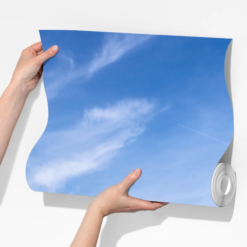 Fototapeta spokojne wydmy na wybrzeżu Niemiec Fototapeta spokojne wydmy na wybrzeżu Niemiec