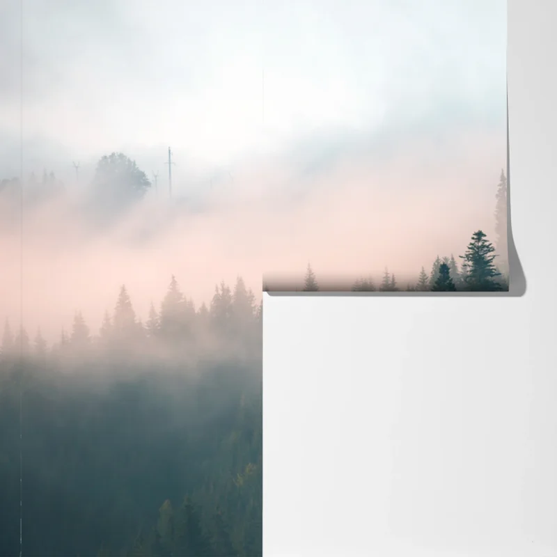 Fototapete nebliger morgenwald Fototapete nebliger morgenwald