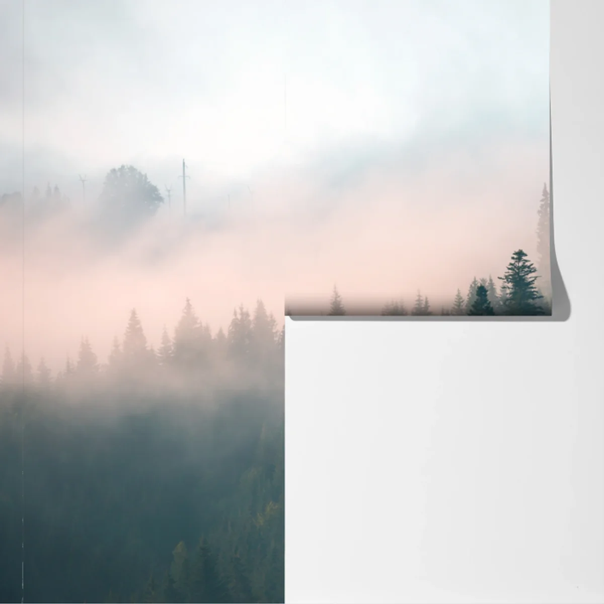 Fototapete nebliger morgenwald Fototapete nebliger morgenwald