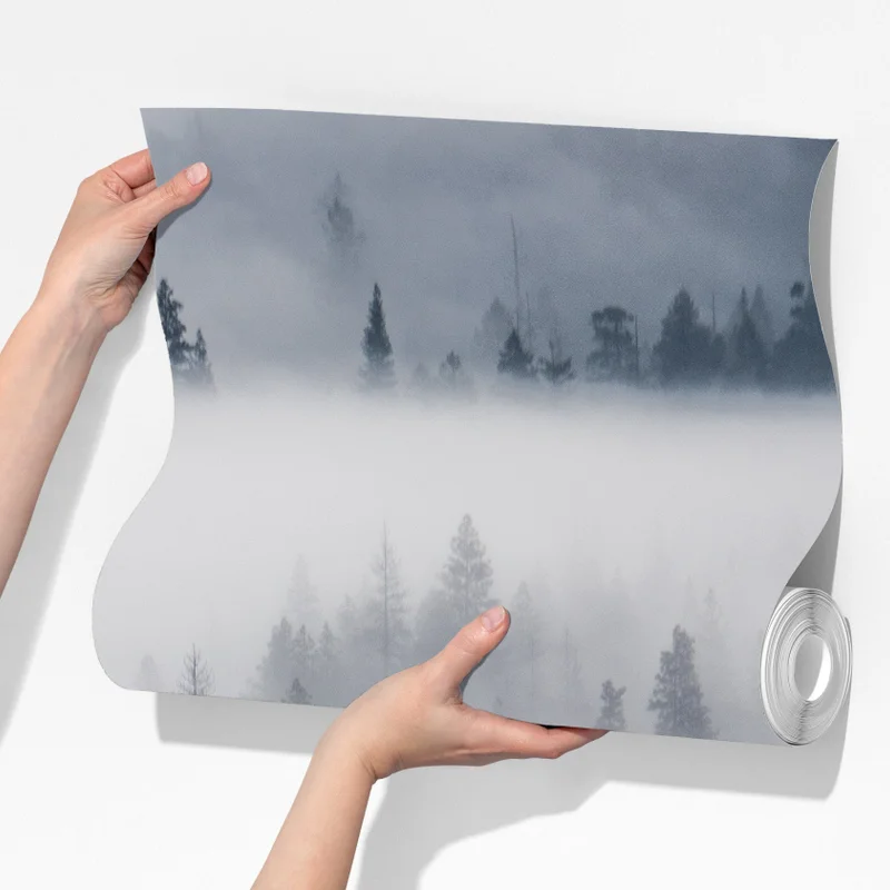 Fototapeta mglisty las sosnowy Fototapeta mglisty las sosnowy