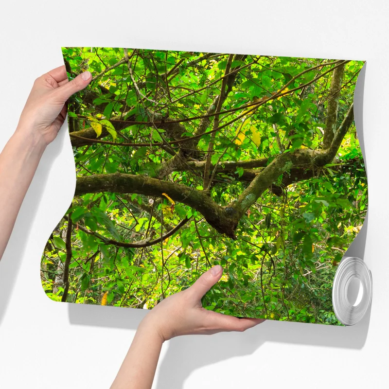 Fototapeta wiszący drewniany most w zielonym lesie Fototapeta wiszący drewniany most w zielonym lesie