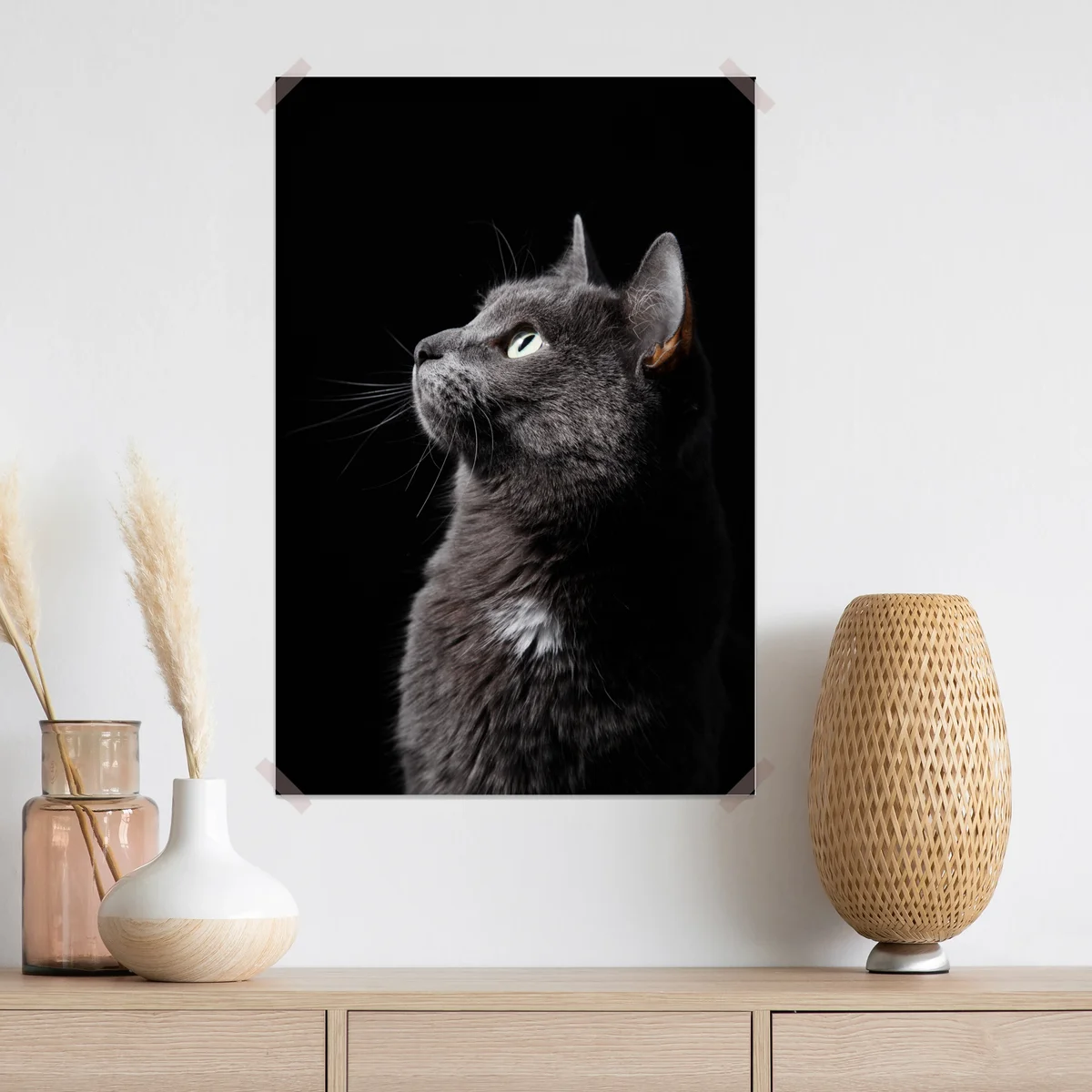 Poster elegantes porträt einer grauen katze Poster elegantes porträt einer grauen katze