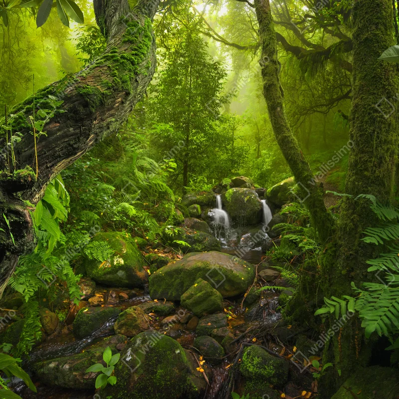 Repositionierbarer Aufkleber üppiger grüner wald mit bach Repositionierbarer Aufkleber üppiger grüner wald mit bach